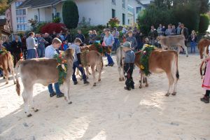 Jungzchter_01